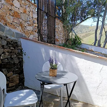 Cortijo Eucalipto 2 Дом отдыха Нерха